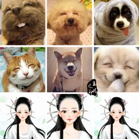 大爱如玉的作品